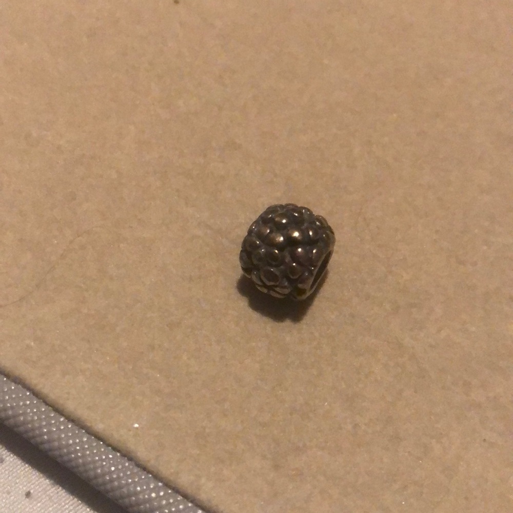 Pandora Flower Charm